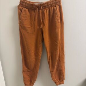 Everlane Rust Jogger Pants